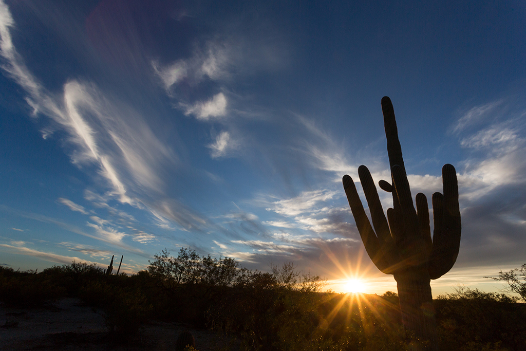 10-21 - 12.jpg - Saguaro National Park, East Part